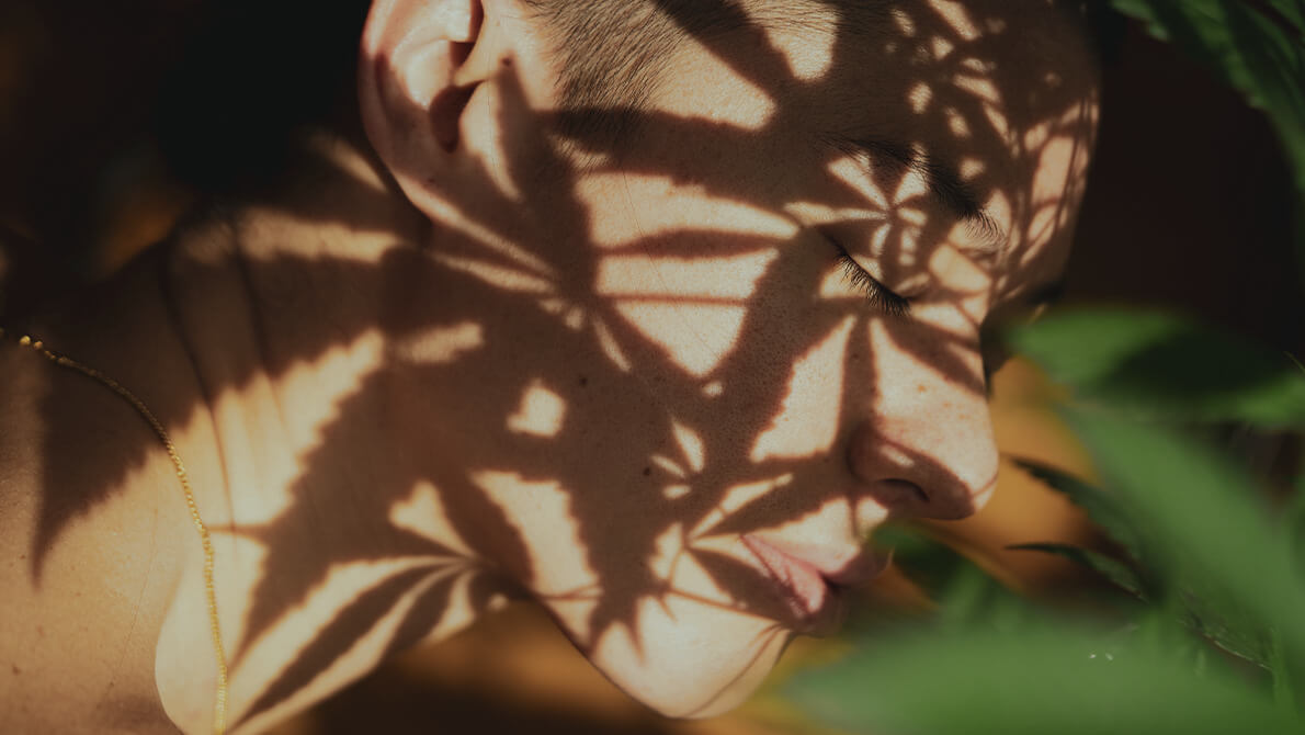 Villa Clara Cannabis Farm